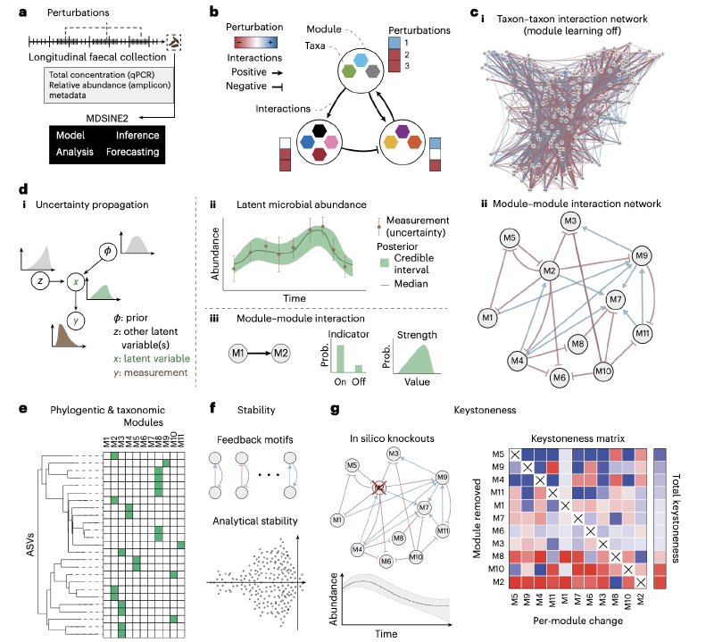 Featured image of post 用 MDSINE2 解析微生物组生态系统尺度动态变化｜Nature Microbiology