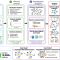 组学网络分析工具MetaNet正式发表于Bioinformatics