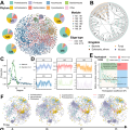 预印本｜MetaNet: a scalable and integrated tool for reproducible omics network analysis