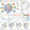 预印本｜MetaNet: a scalable and integrated tool for reproducible omics network analysis