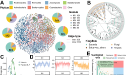Featured image of post 预印本｜MetaNet: a scalable and integrated tool for reproducible omics network analysis