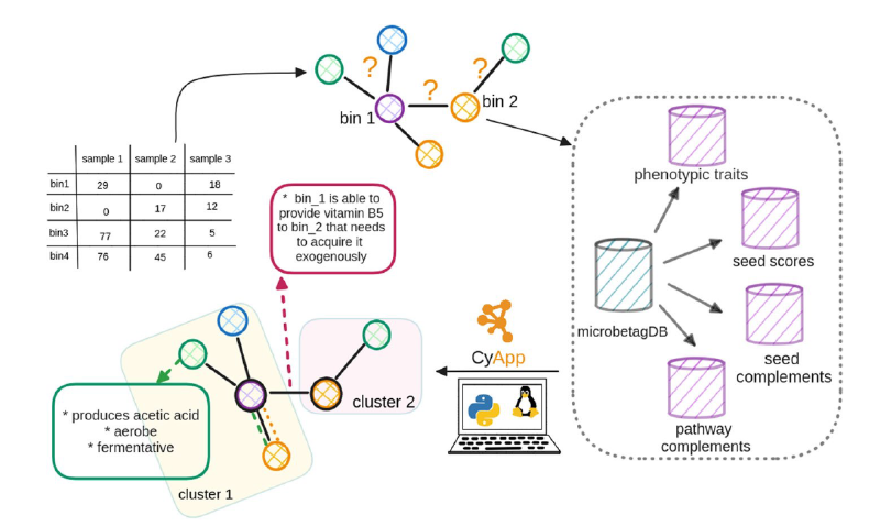 Featured image of post microbetag通过注释、富集和代谢互补分析帮助微生物网络解读