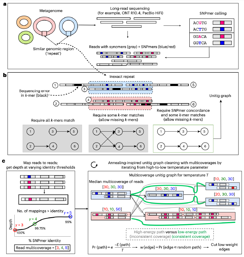 Featured image of post NBT| myloasm利用多态性K-mer破解复杂宏基因组的高分辨组装难题
