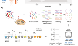 Featured image of post NC| 复杂菌群防御组（defensome）