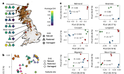 Featured image of post 生态系统健康塑造泥炭地土壤中的病毒生态|Nature Microbiology