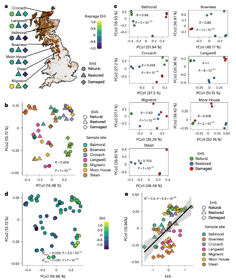 Featured image of post 生态系统健康塑造泥炭地土壤中的病毒生态|Nature Microbiology
