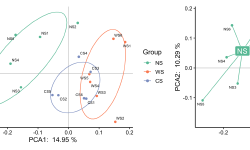Featured image of post 降维/排序分析（ordination analysis）