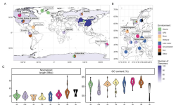 Featured image of post 从高山冰川向下游扩散的Polaromonas进化辐射