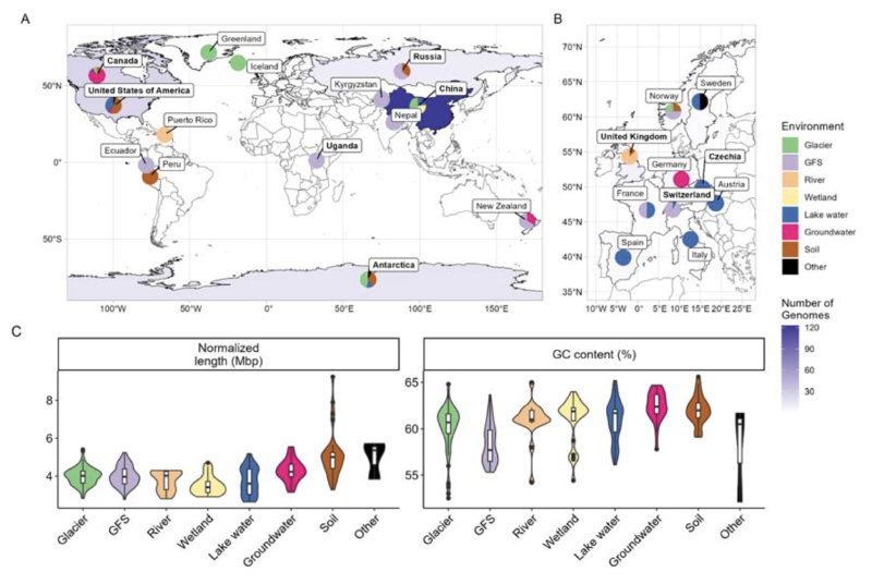 Featured image of post 从高山冰川向下游扩散的Polaromonas进化辐射