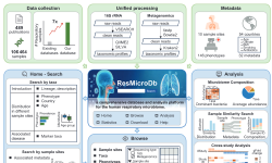 Featured image of post ResMicroDb：人类呼吸道微生物组综合数据库与分析平台