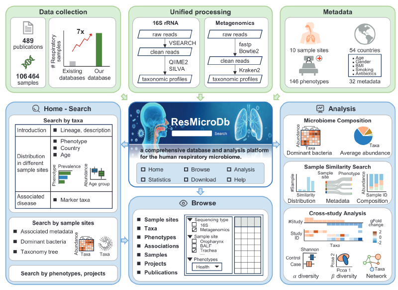 Featured image of post ResMicroDb：人类呼吸道微生物组综合数据库与分析平台