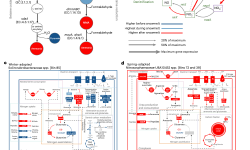 Featured image of post 多组学揭示融雪期土壤微生物水华相关的氮动态