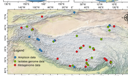 Featured image of post 冰川微生物基因组与基因数据库：三极地区的综合资源