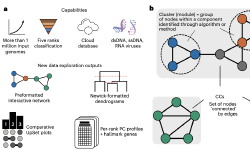 Featured image of post 使用最新的vConTACT3进行病毒分类注释|Nat Biotechnol