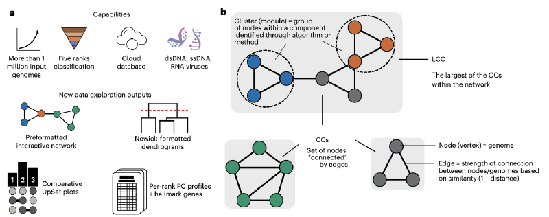 Featured image of post 使用最新的vConTACT3进行病毒分类注释|Nat Biotechnol