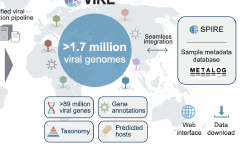 Featured image of post VIRE：具有环境背景的全球尺度病毒组资源