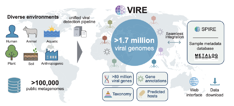 Featured image of post VIRE：具有环境背景的全球尺度病毒组资源