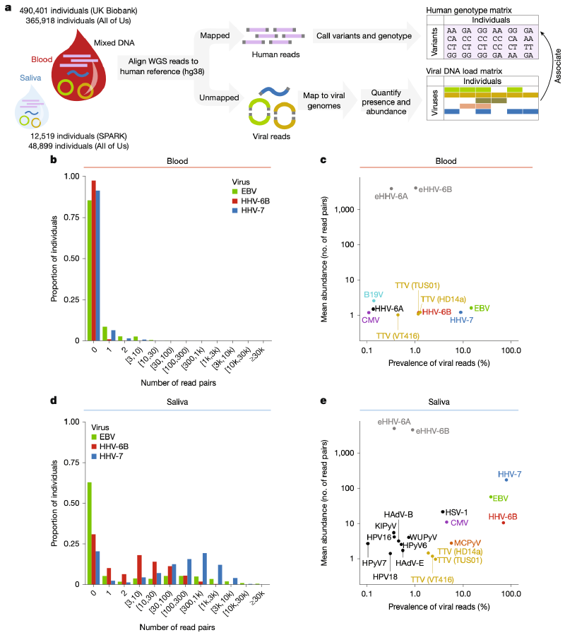 Featured image of post Nature|DNA病毒组随人类基因和环境而变化