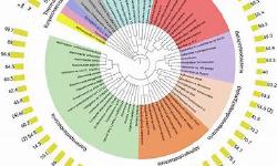 Featured image of post metagenomic